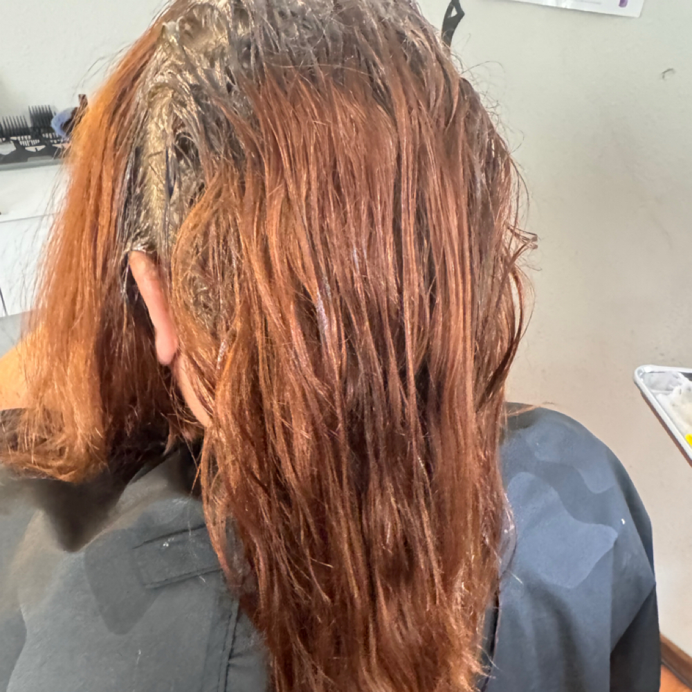 Root Touch Up at Shear Beauty LLC in Grimsley, TN