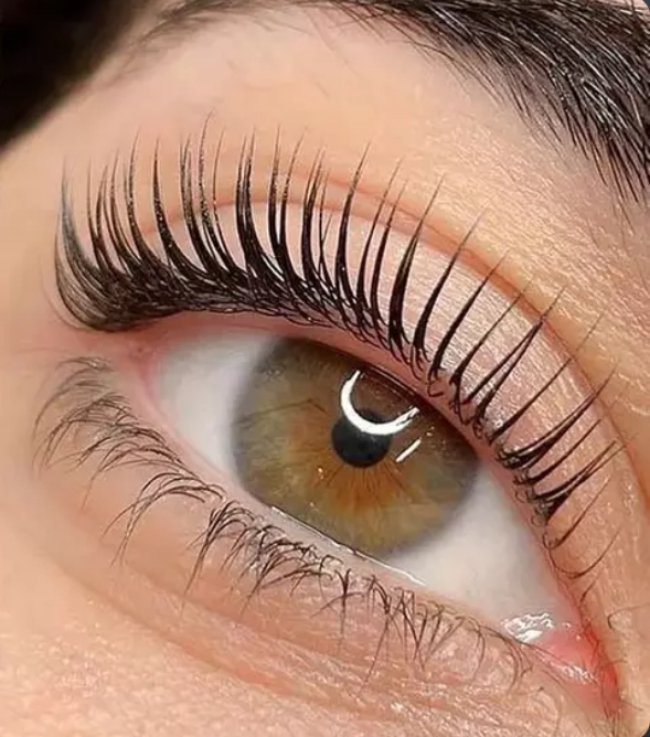 Lash Tinting