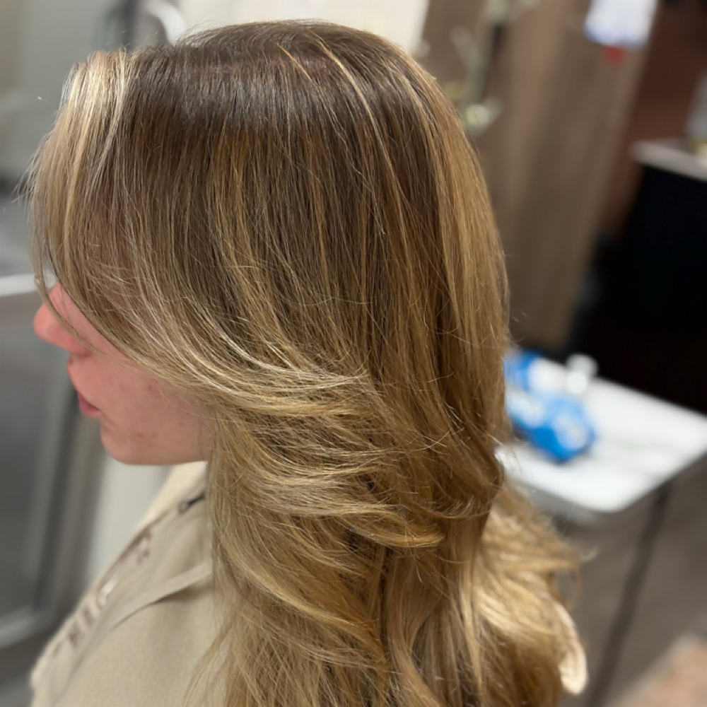 Partial Balayage at Hair by Lany in Leesburg, VA