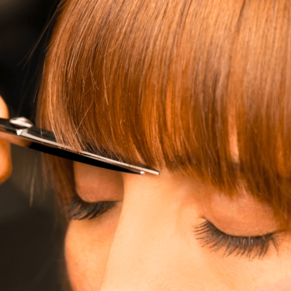 Maintenance Bang Trim