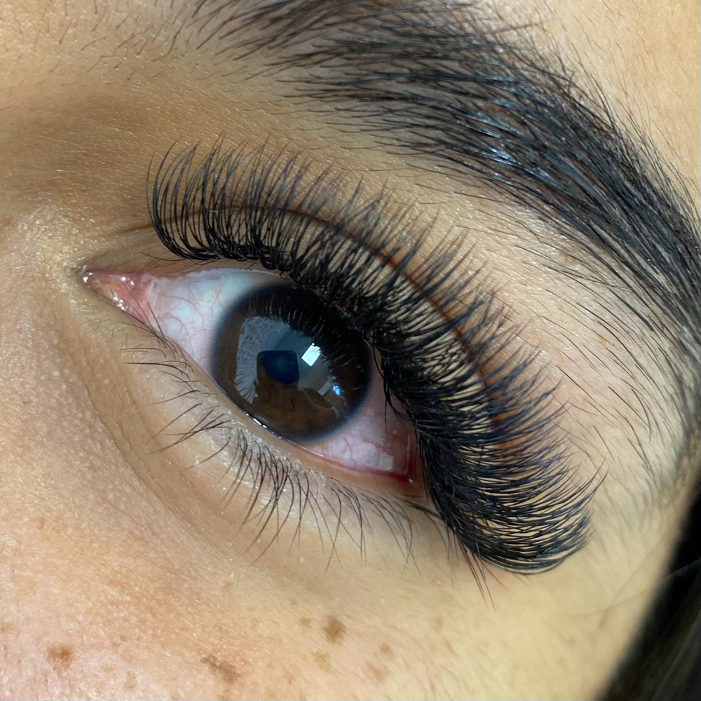 Hybrid Fill 2-3 week