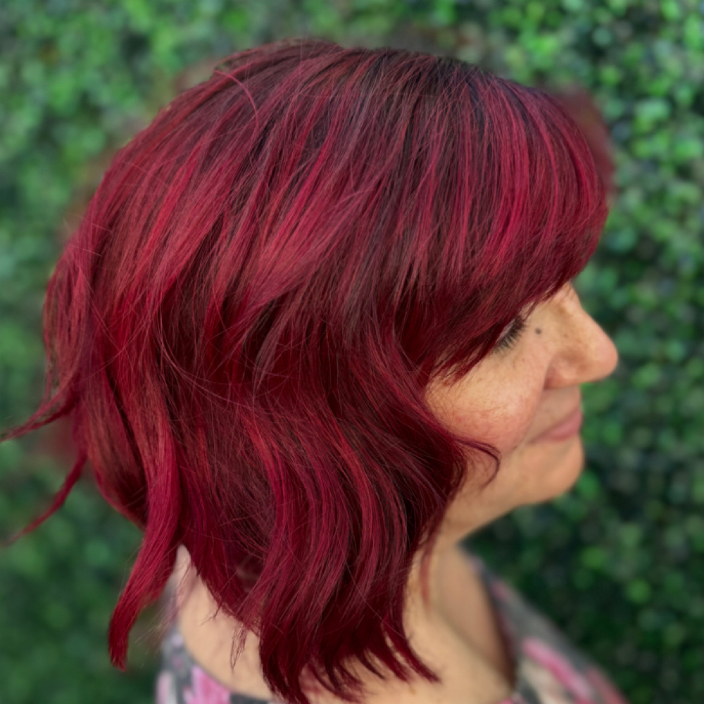 Signature Highlight Fashion Color at Dani Gonz Hair Artistry in Colorado Springs, CO
