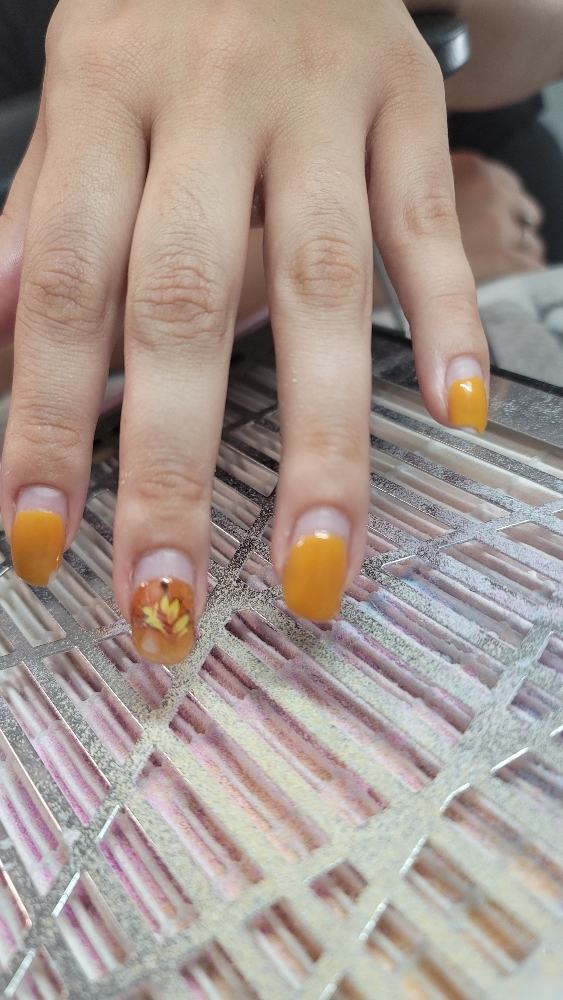 GLAM Refill w/Designs