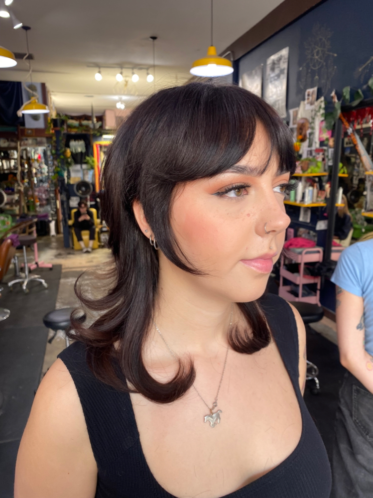 New Client Haircut