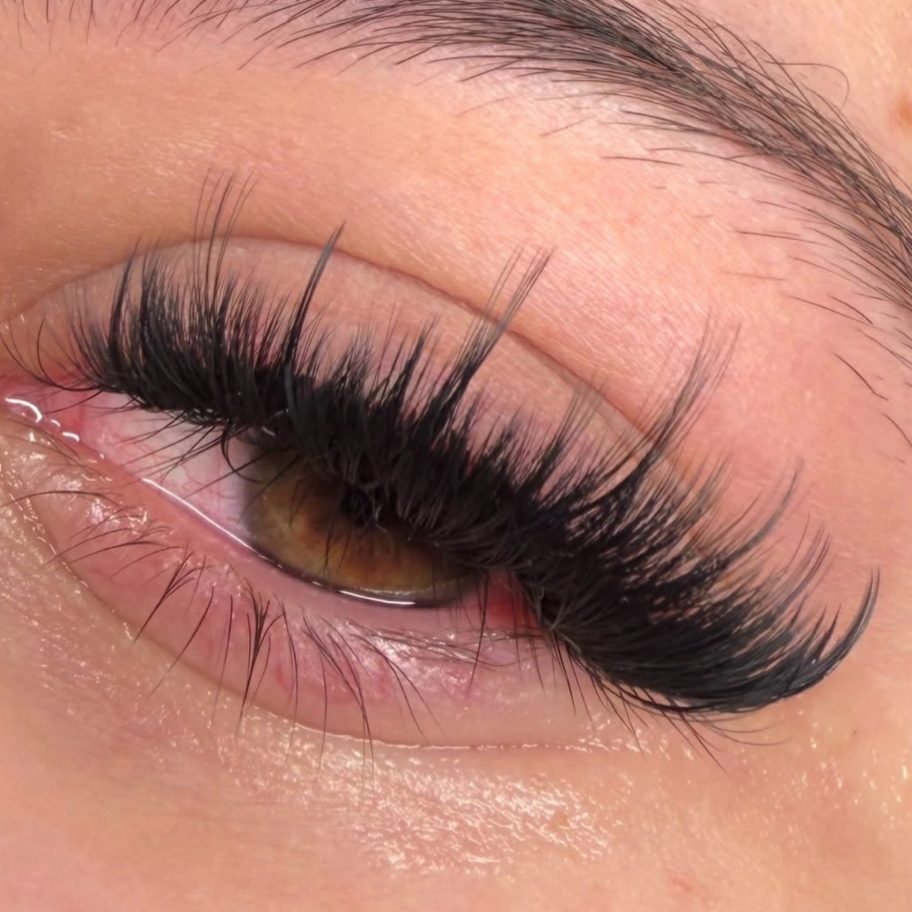 60 Minute Lash Fill at The Beauty Lounge in Pueblo, CO