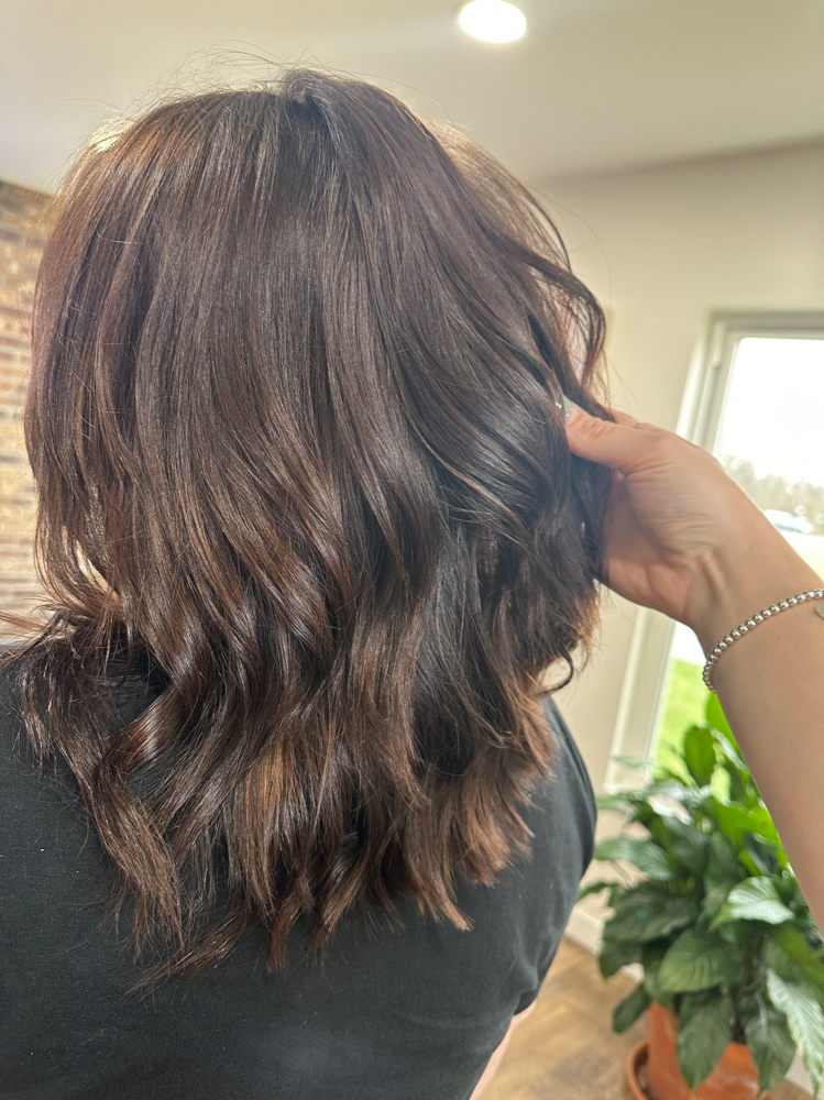 Womens Haircut Dry