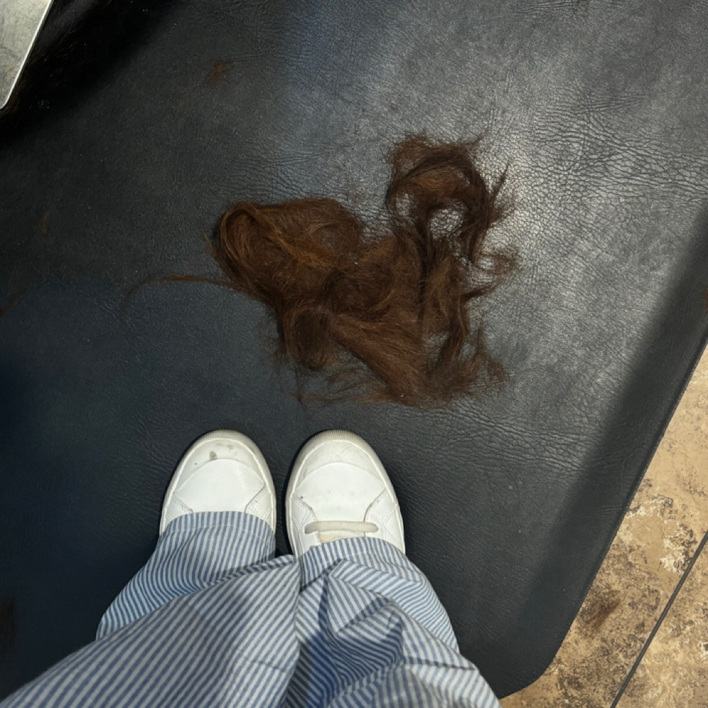 Haircut at Cielo Beauty Lounge in Fresno, CA