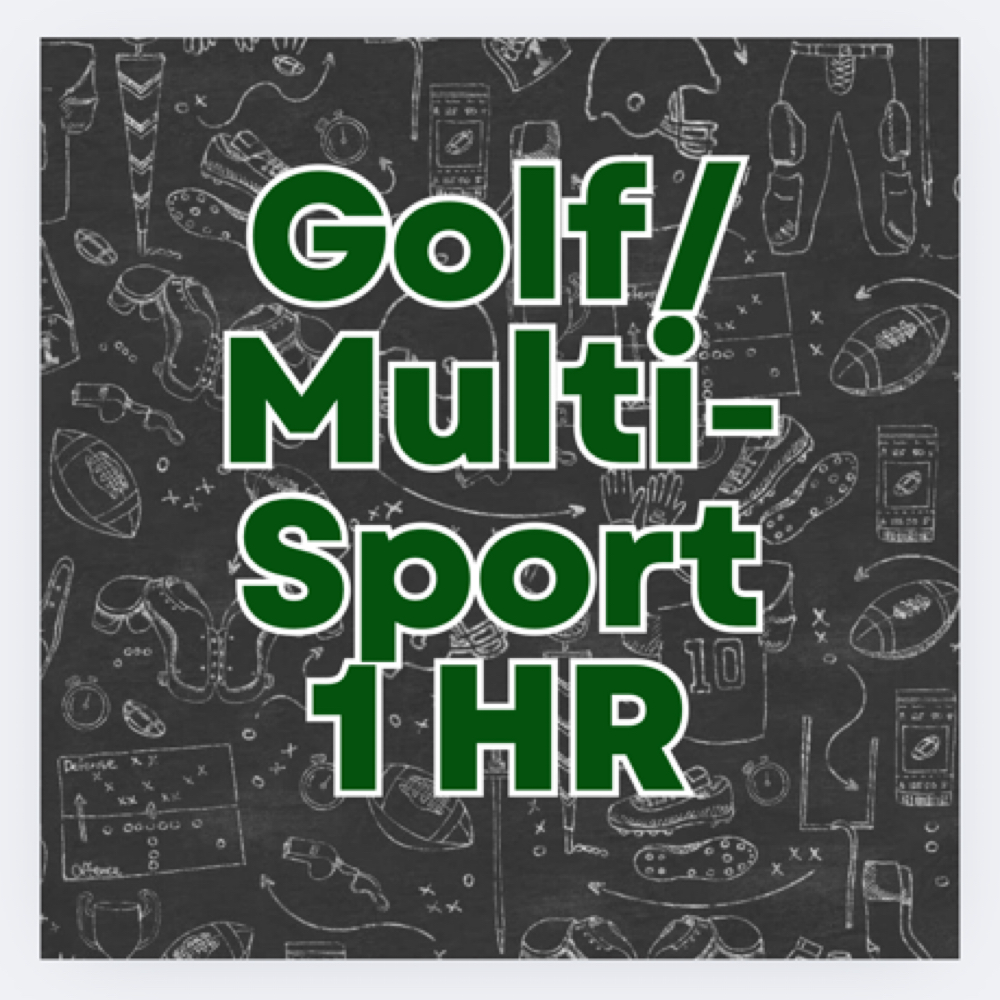 Golf/Multi-Sport Sim 1 HR (Up To 8)