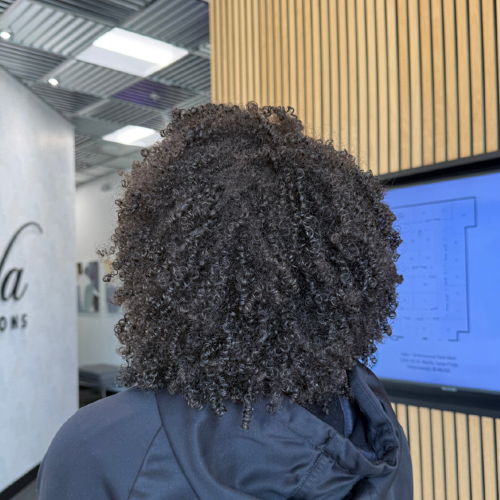 Big Curly Cut at The Curly Girl in Greenwood, IN