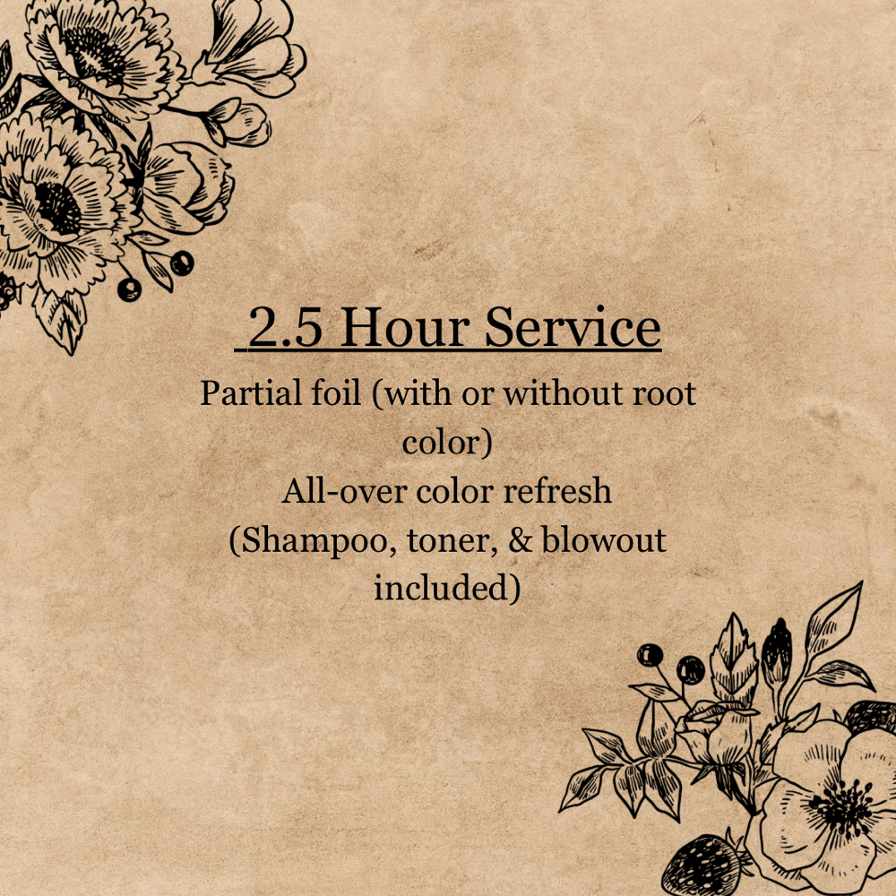 2.5 Hour Color Service at Dahlia Salon + Spa in Evans, GA
