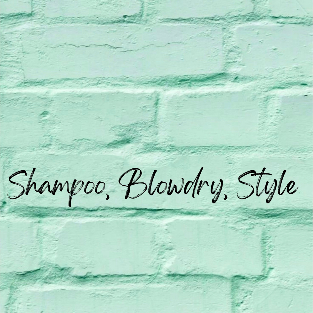 Shampoo, Blowdry, Style - NO CUT