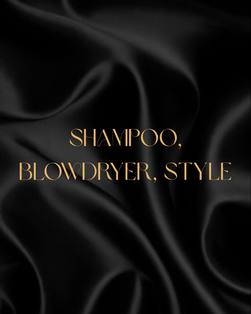 Shampoo, Blowdry, Style - NO CUT