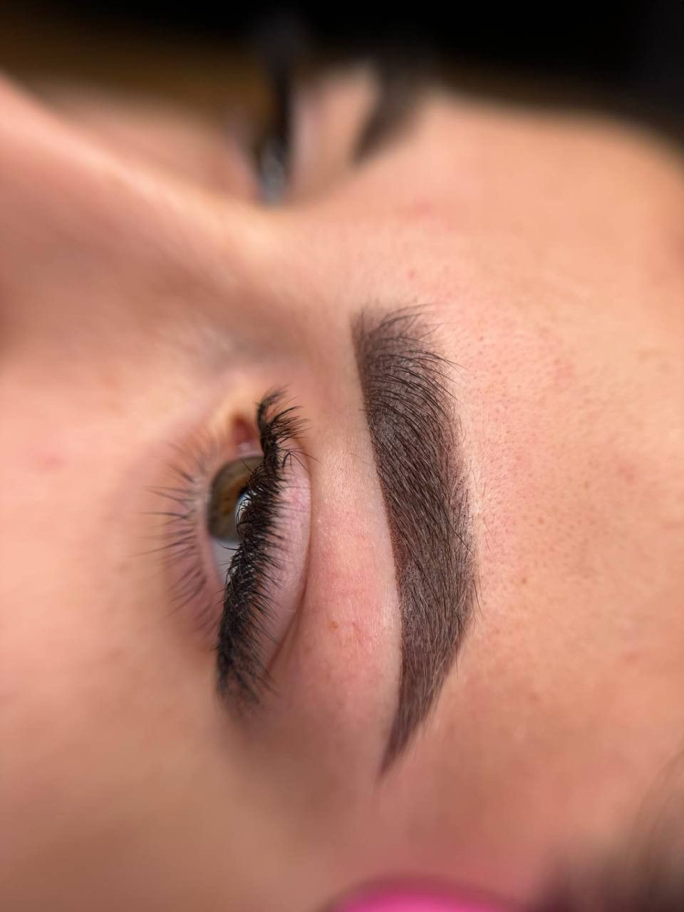 Micro-shading (Powder Brows)
