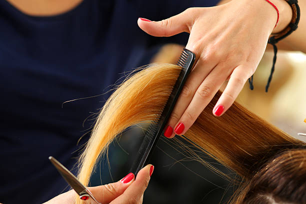 Women's Haircut at Jennifer Ann Salon in Saint Cloud, MN