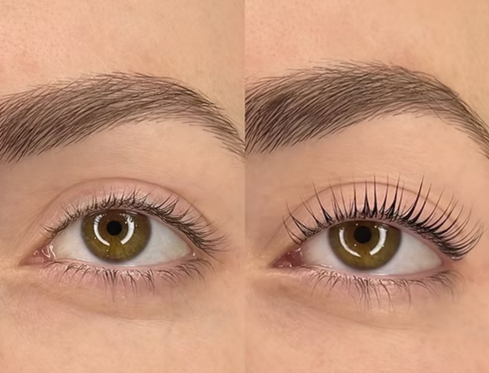 Eyebrow W/ Lash Tint