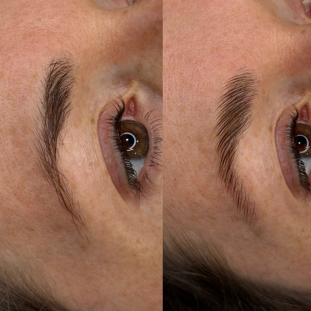 Brow Lamination at Illuminate Lashes and Beauty in Trussville, AL