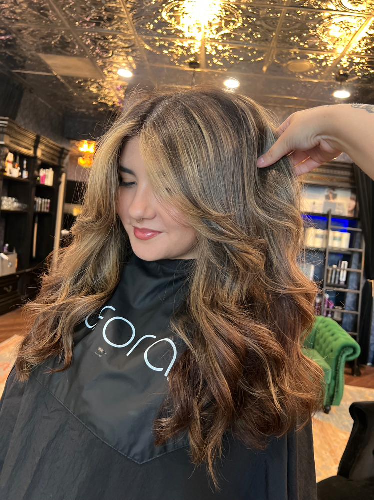 partial highlight • half head