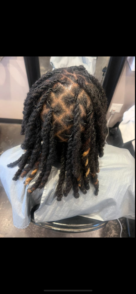 Loc Retwist & Style