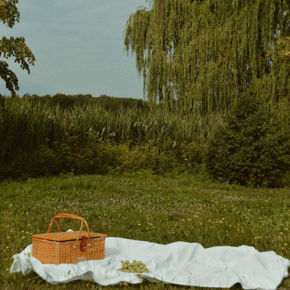 April Spring Cleaning Facial at Hex & Glow Esthetics in buda, TX