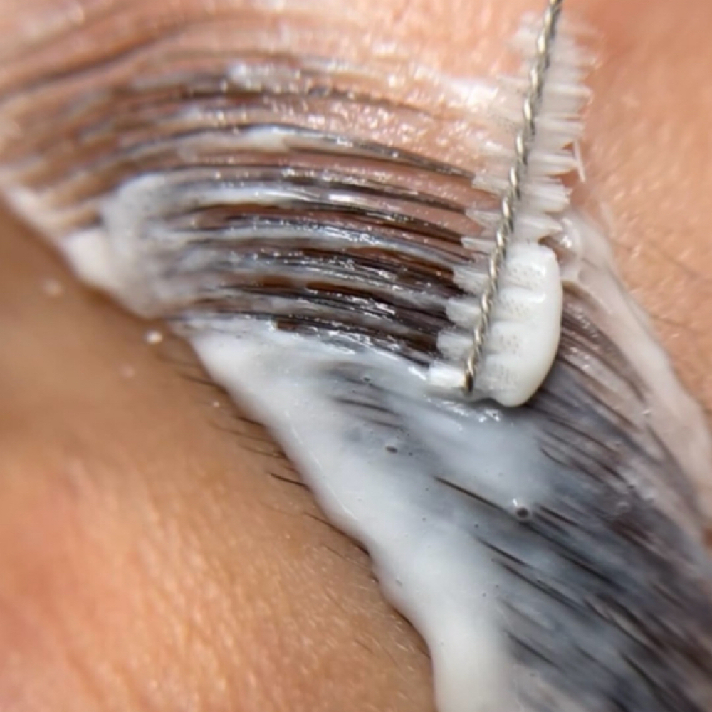 Brow lamination at Coastal Glow Sugaring Studio in St. Augustine, FL