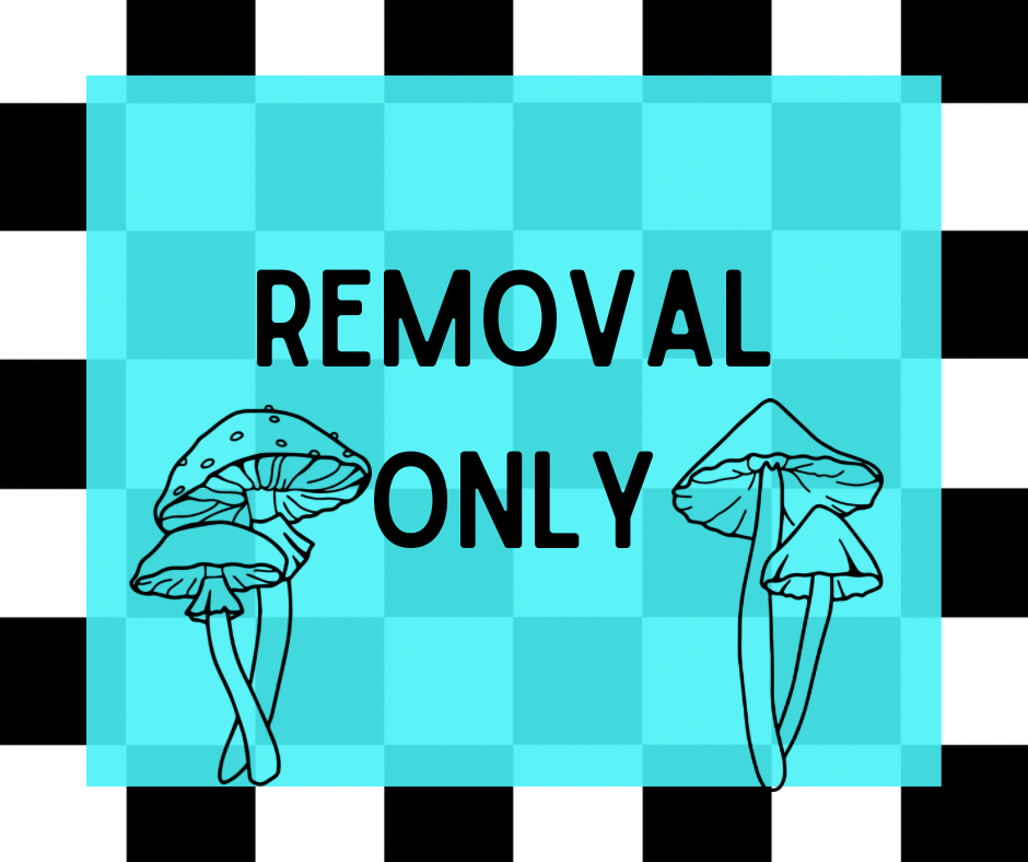 Removal Only