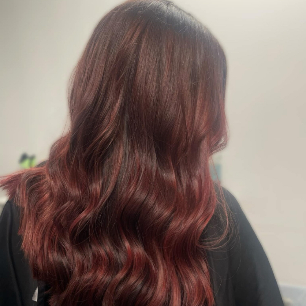 All Over Color at Hair Wiz Liz in Champaign, IL