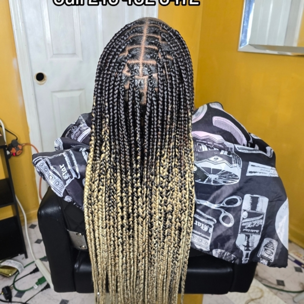 Rainbow Cascade Braids at Braids By Veronica in Lanham, MD