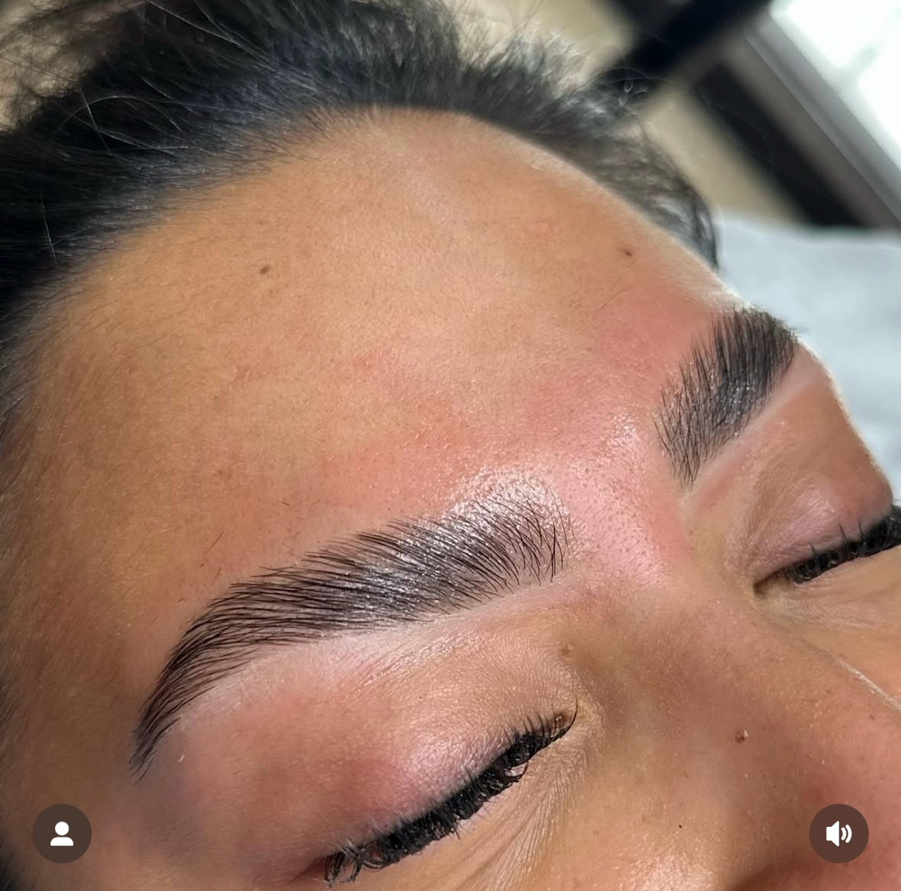 Brow Sculpt & Lamination at Zaazaa Studioo in Sparks, NV