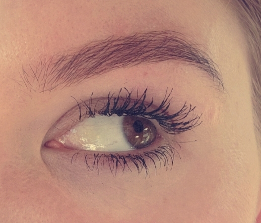 Brow Wax/Shaping