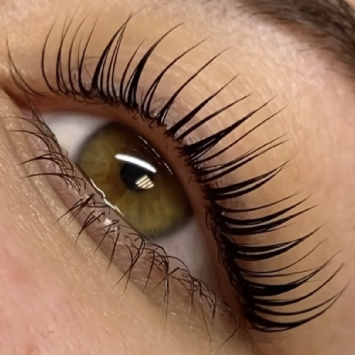 Lash Tint