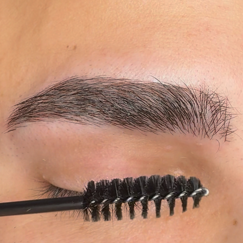 BROW TOUCH-UP (4-6 WEEKS) at Beauty Brows Center in Tampa, FL