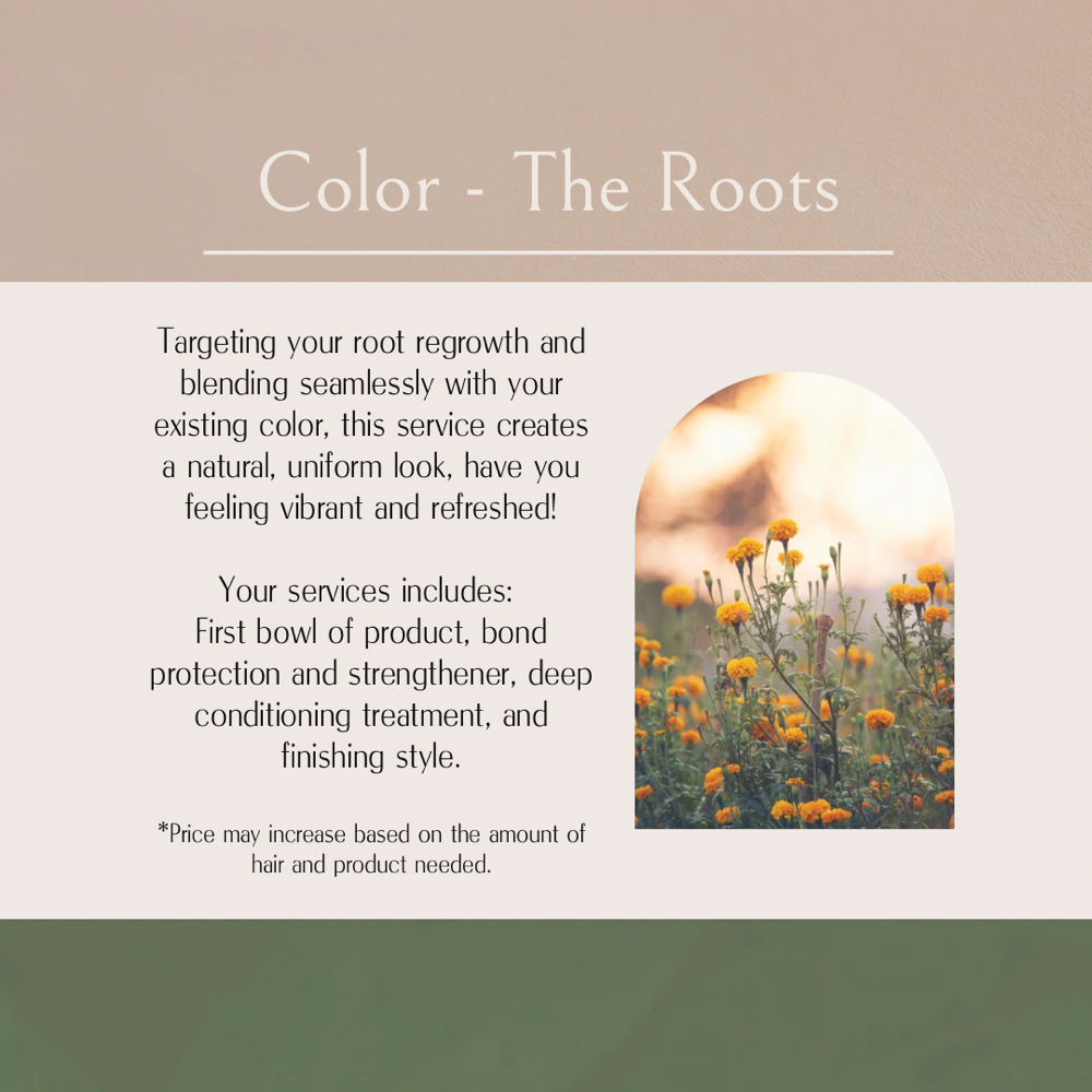 Color - Roots at Northern Roots Hair in Concord, NH