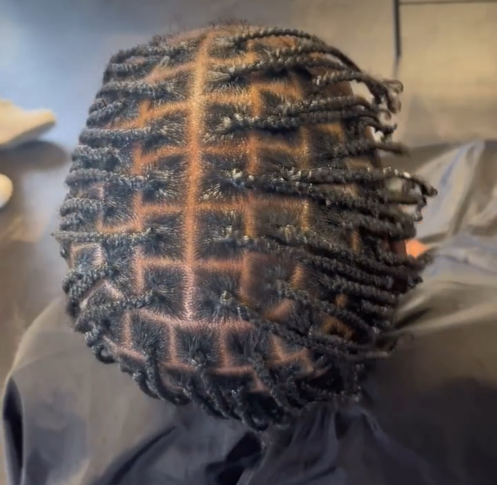 Single Braids at DaniBraidsLLc in Columbus, OH