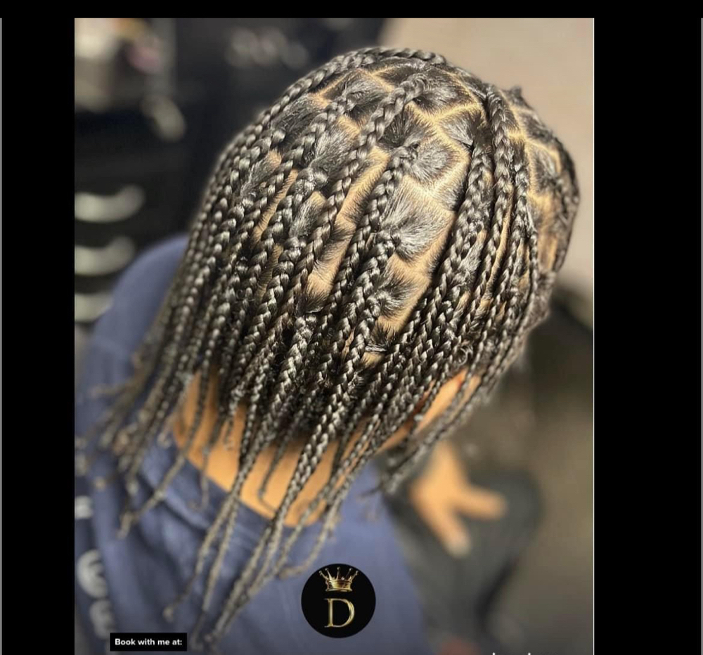 Single Braids