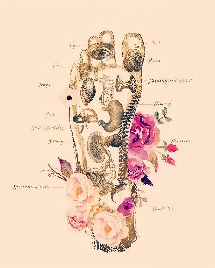 Reflexology Foot Massage