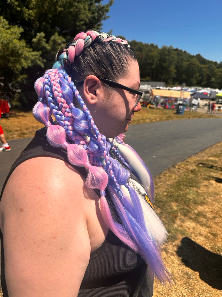 2 Braids With Reusable Ponies