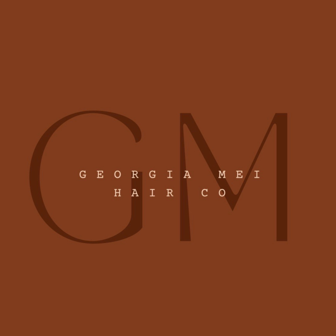 Hair Extension Consultation