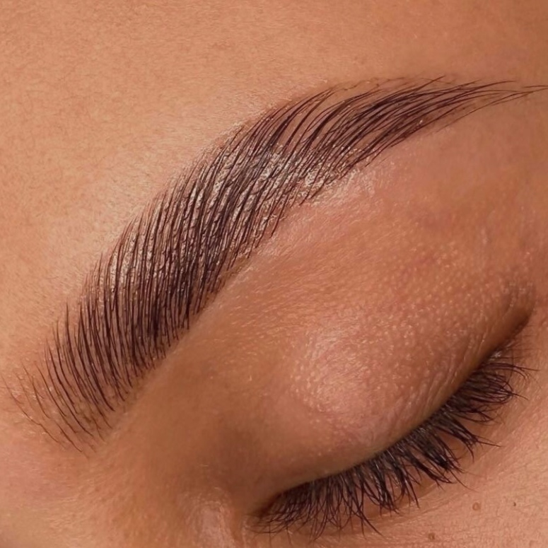 Brow Wax, Tint, and Lamination at Glow Getter Esthetics in Beulah, MI