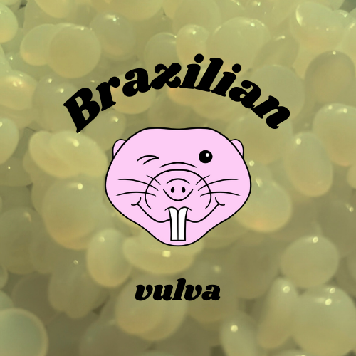 Brazilian • Vulva