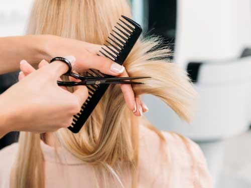 Shampoo/cut/Style