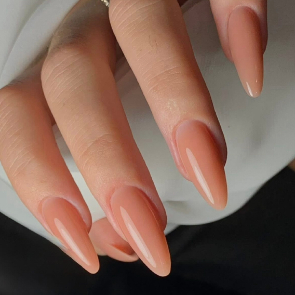 Precision Builder Gel $90+ at Cindy Nails & Brows in Dickinson, ND
