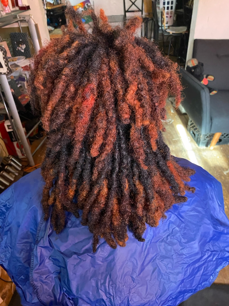Color Touch Up  (rinse) /dreads at Tanashia Darnell in Royal , Oak , Mi, MI