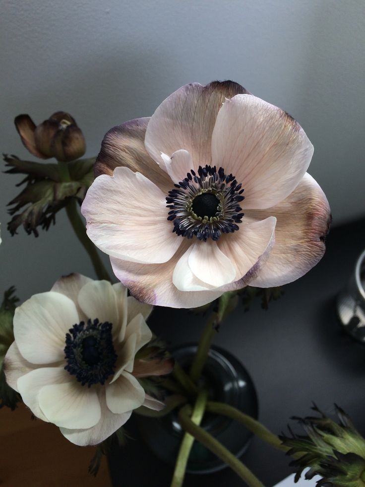 Cosmetic 1-6 Month Touchup at Kiki Ink Cosmetic & Vegan Tattoos in Eugene, OR