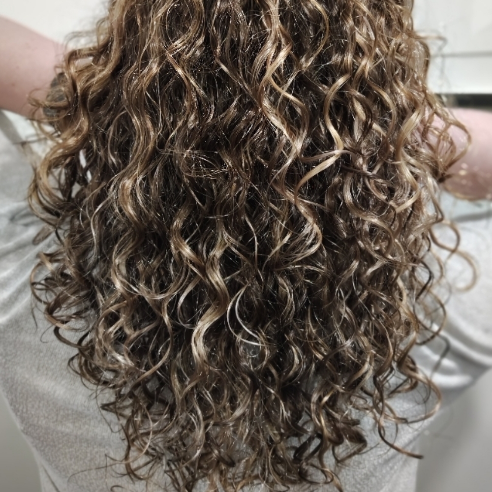 Curly Haircut at JavitaCreates in Springfield, IL