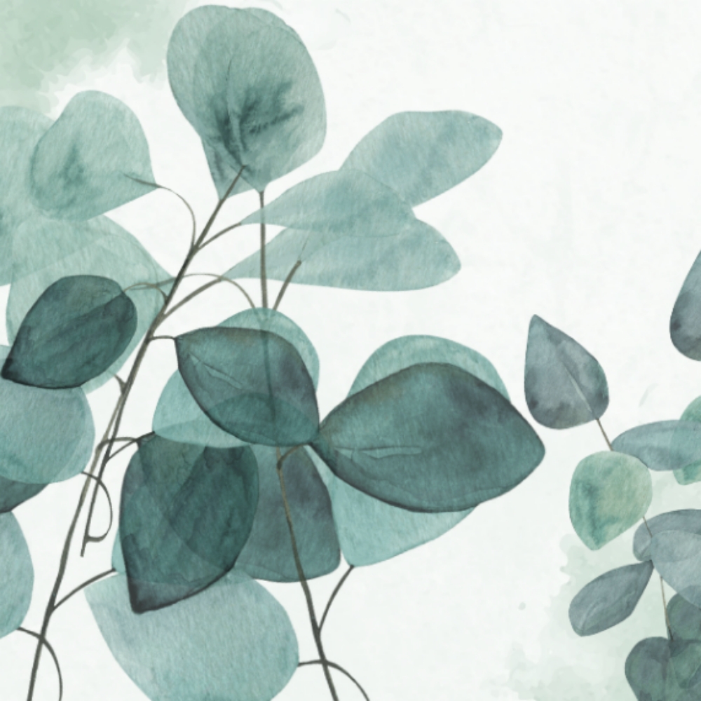 Polygel Long/Extra Long at Kiwis Beauty Kreations in Boise, ID