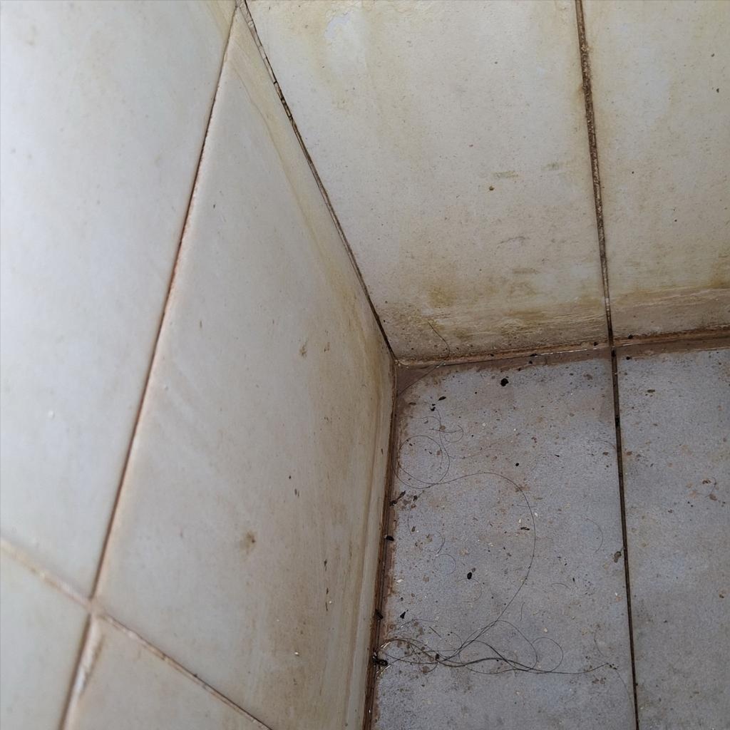 CLEAN 30 DAYS OR MORE AFTER PRIOR at JASSY MULTISERVICES LLC in Florida City, FL