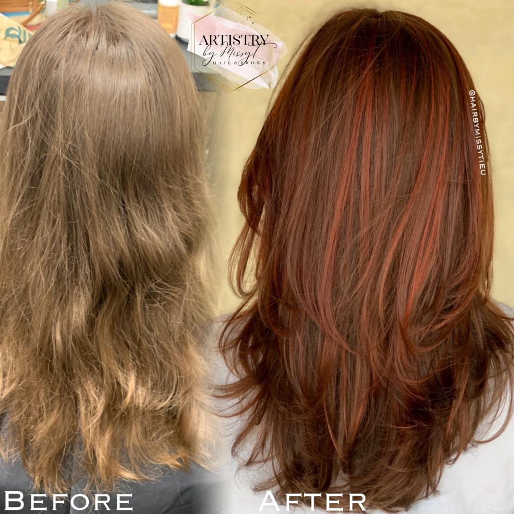 Root, Highlights (P) & Haircut