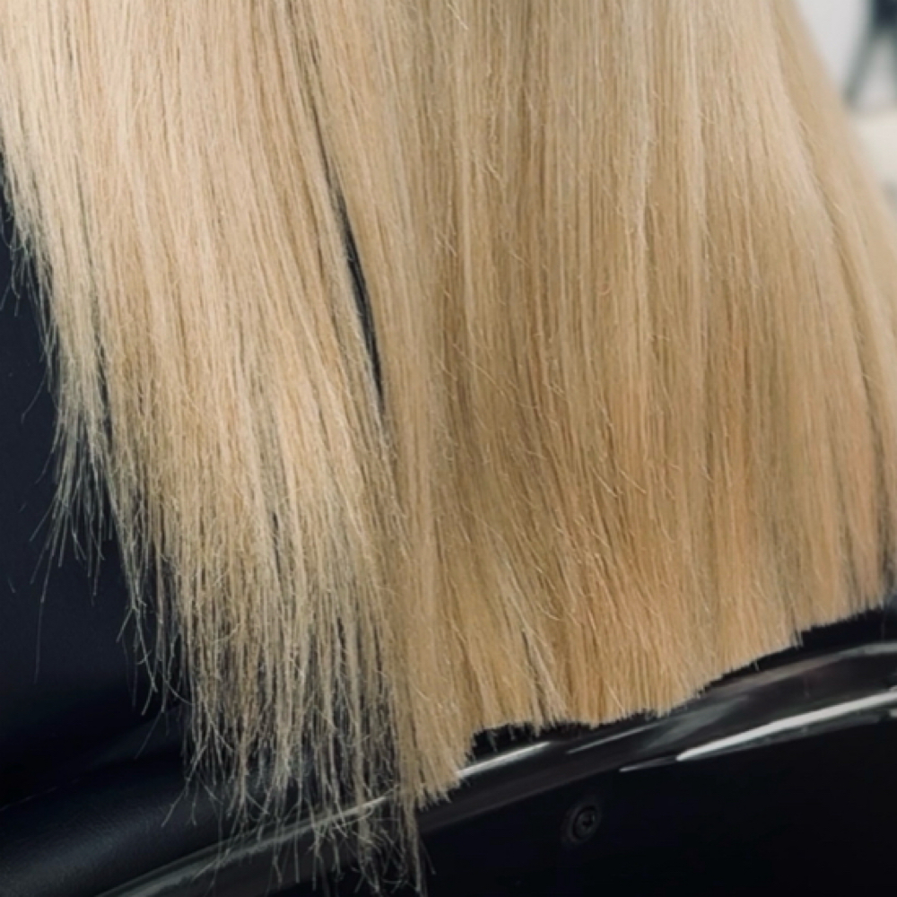 Hair Cut Only at Blush Beauty Bar West Palm Beach in Wellington, FL