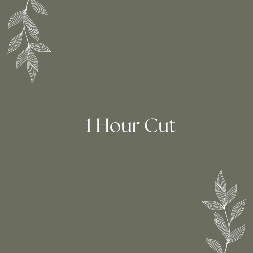 1 Hour Cut