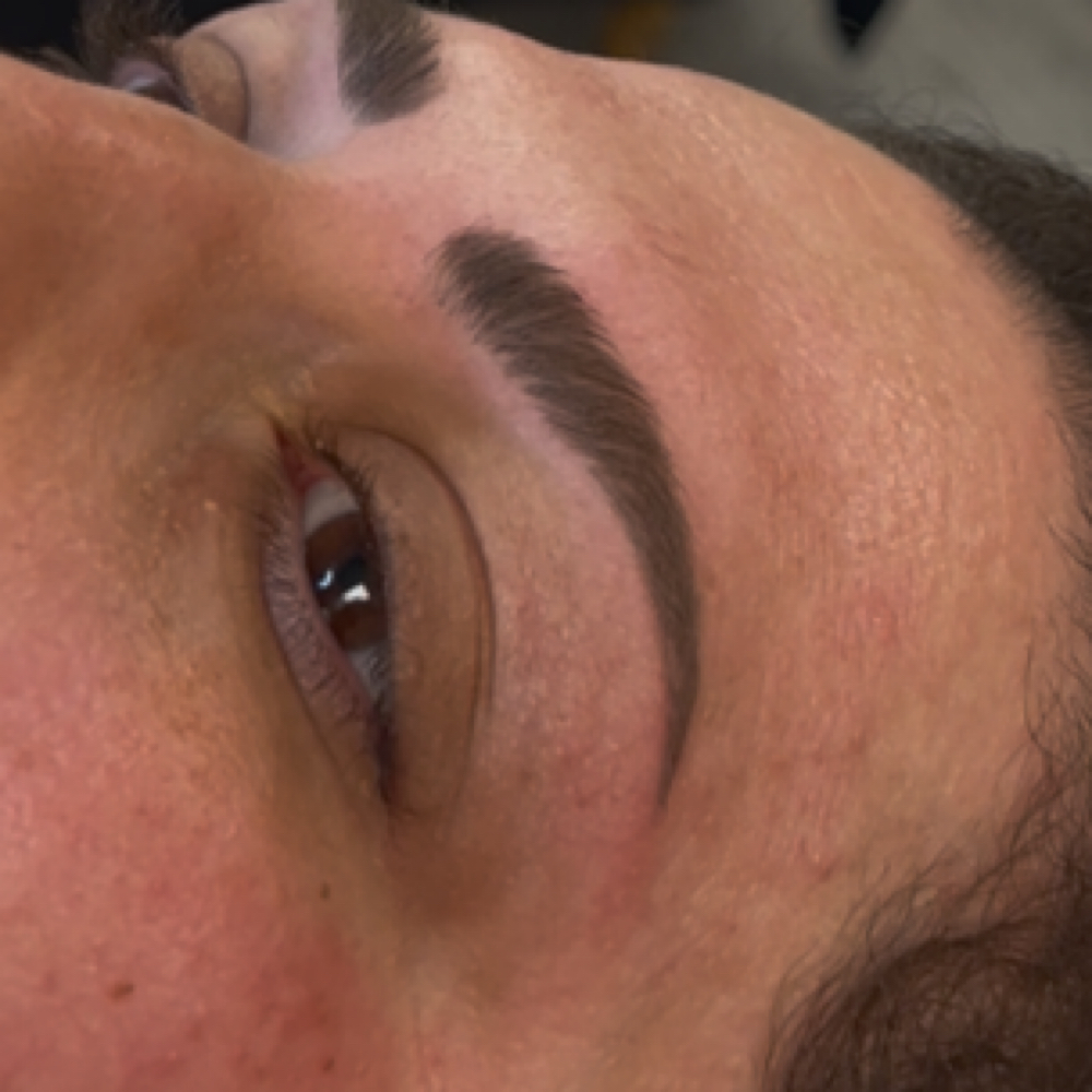 Eyebrows Tinting $20 at Babina’s brow studio in Vienna, VA
